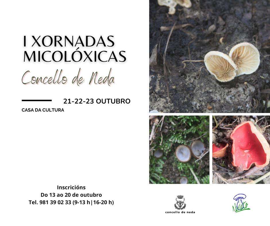 III Xornadas Micolóxicas en Neda