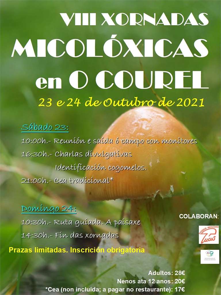 X Xornadas Micolóxicas no Courel en Folgoso do Courel