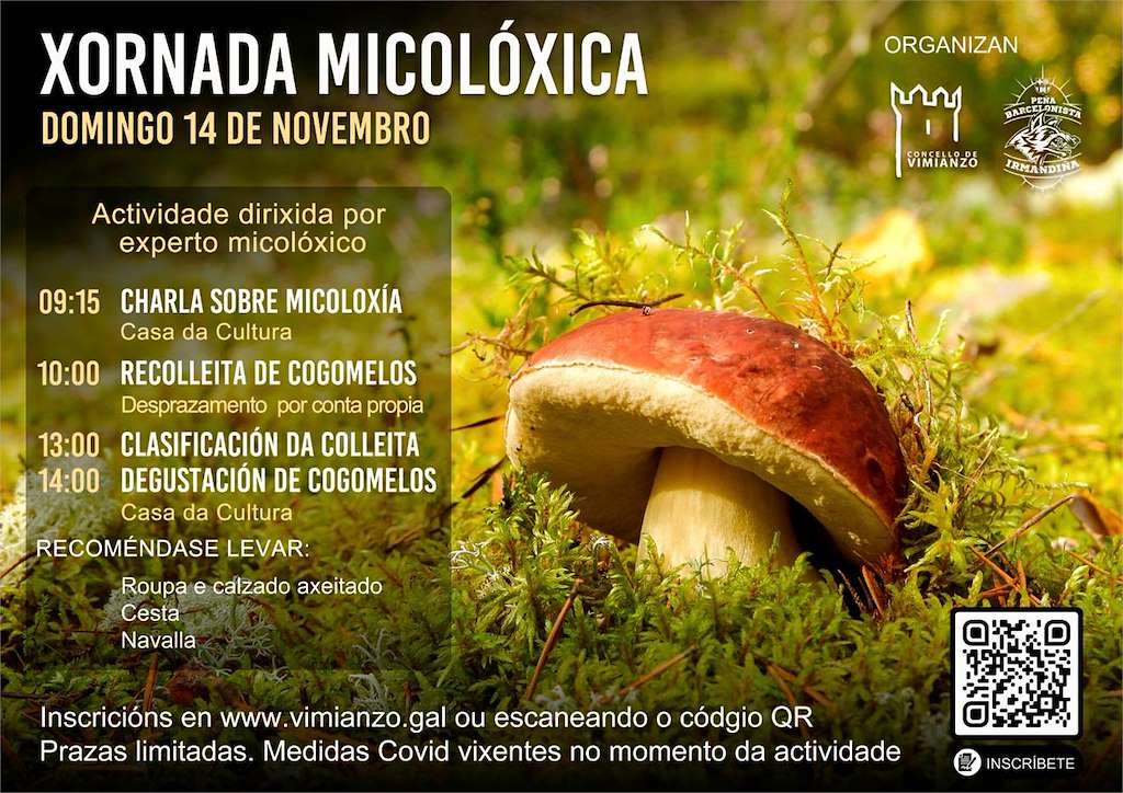 Xornadas Micolóxicas en Vimianzo