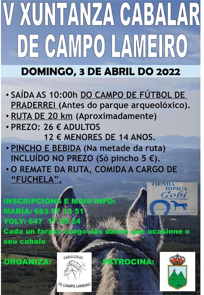 VII Xuntanza Cabalar en Campo Lameiro