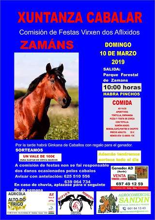 Fechas, información, programa, cartel, imágenes, mapa y ubicación de Xuntanza Cabalar de Zamáns  en  Vigo