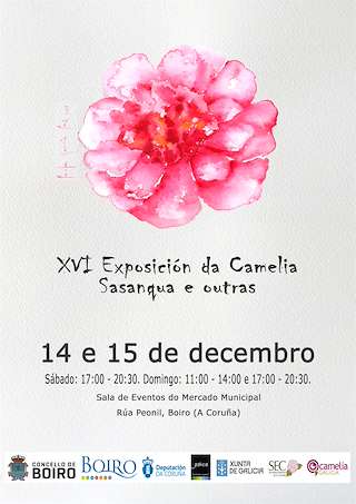 XIX Exposición da Camelia Sasanqua e Outras Especies en Boiro