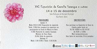 XIX Exposición da Camelia Sasanqua e Outras Especies en Boiro