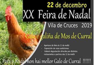 XXIII Feira de Nadal Galo e Galiña de Curral (2024) en Vila de Cruces