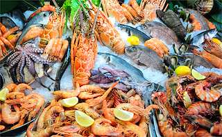 XXIV Conxemar - Feria Internacional de Productos del Mar Congelados  en Vigo