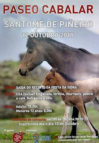 XXIII Festa da Mazá e da Sidra en Marín