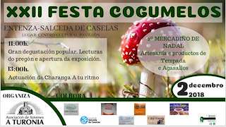XXV Festa dos Cogumelos en Salceda de Caselas