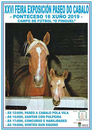 XXVIII Feira de Exposición Paseo do Cabalo en Ponteceso