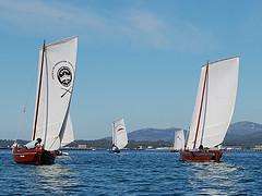 XXXIX Volta á Arousa de Dornas a Vela (2024) en Illa de Arousa